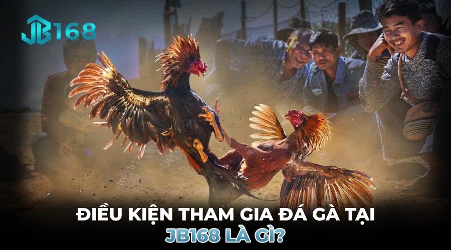 ĐIỀU KIỆN THAM GIA ĐÁ GÀ TẠI JB168 LÀ GÌ?